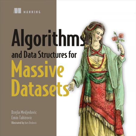 Algorithms and Data Structures for Massive Datasets (Audiobook)