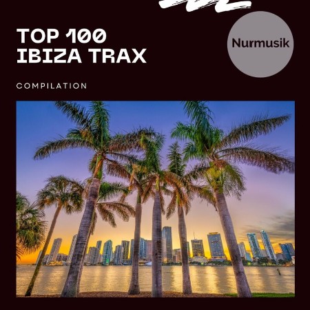 VA - Top 100 Ibiza Trax 2024