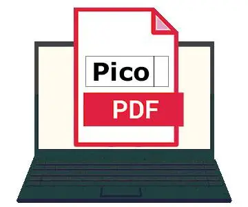 NCH PicoPDF Plus 6.27