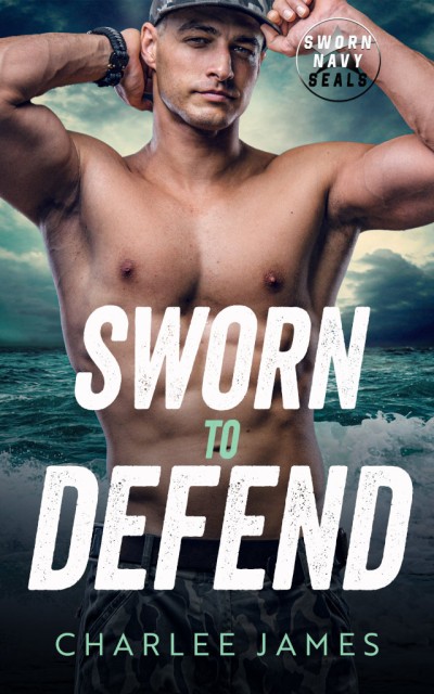 Sworn to Defend - Charlee James A77990af7b3f9ff200a4e6262036bc33