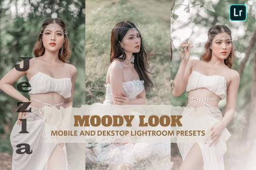 Moody Look Lightroom Presets Dekstop and Mobile - W3VKB9R