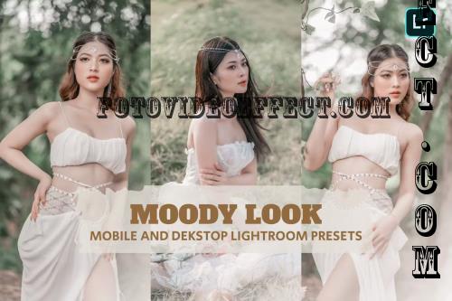 Moody Look Lightroom Presets Dekstop and Mobile - W3VKB9R