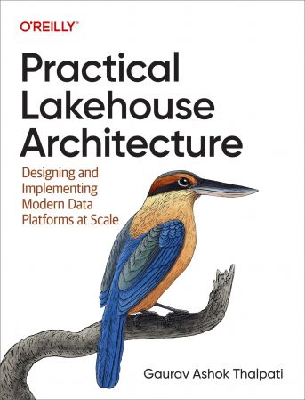 Practical Lakehouse Architecture: Designing and Implementing Modern Data Platforms at Scale (True/Retail EPUB)