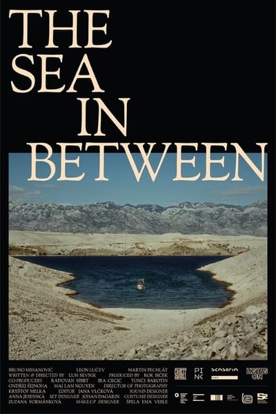 The Sea In Between (2024) 1080p WEB x264-RADiOACTiVE Ce7f076ea6b4ccff816aaa4ac4151741