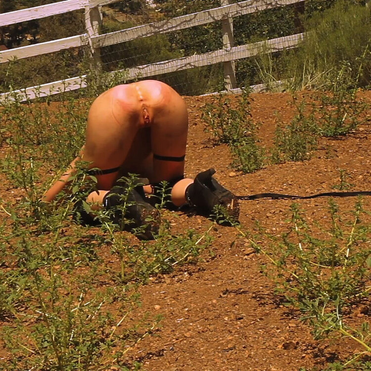 BrutalMaster: Greyhounds Brutal Pony Training [FullHD 1080p]