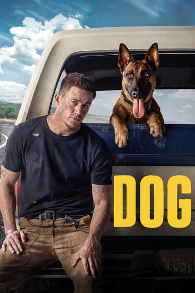 Dog (2022) 1080p AMZN WEB-DL DDP2 0 H 264-ERBIUM 7921f30e560bb53b3a822651413ea69a