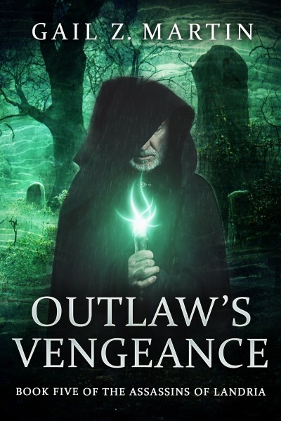 Outlaw's Vengeance - Gail Z. Martin