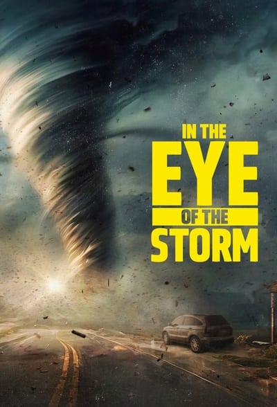 In the Eye of the Storm S01E04 1080p HEVC x265-MeGusta