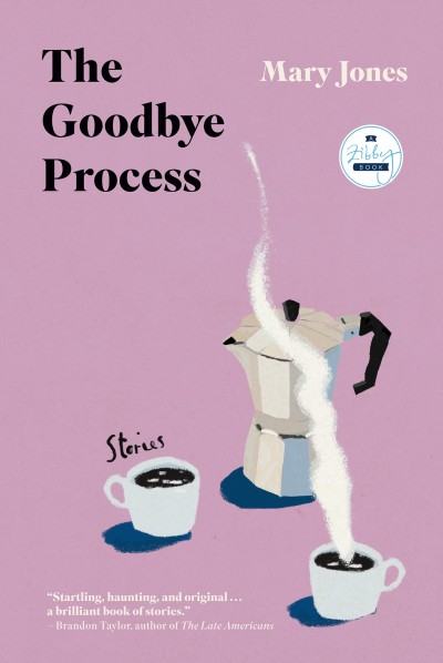 The Goodbye Process: Stories - Mary Jones