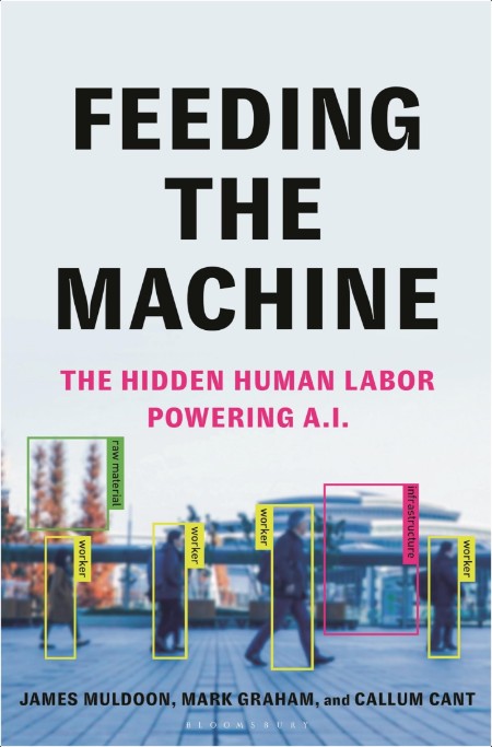 Feeding the Machine  The Hidden Human Labor Powering A I  by Mark Graham