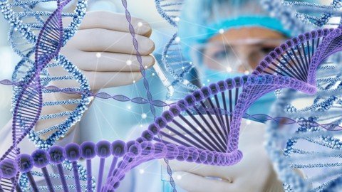 Gene Editing Principles, Techniques, And Applications