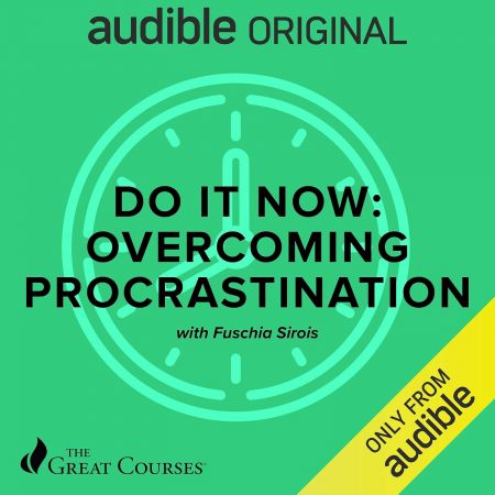 Do It Now: Overcoming Procrastination (The Great Courses) (Audiobook)