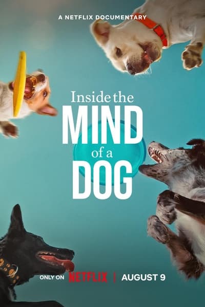 Inside the Mind of a Dog (2024) 720p WEBRip x264-LAMA 09f493c82a15b8d049546398db550448