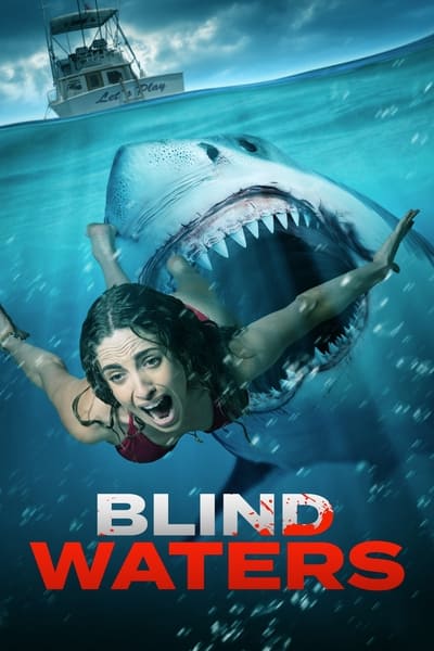 Blind Waters 2023 German AC3 WEBRip x264-AGA