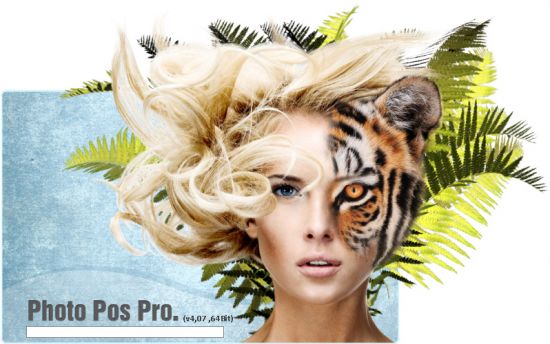 Photo Pos Pro 4.07 Build 39 Premium