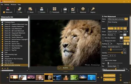 iWatermark Pro 2 v4.0.33 (x64) F0e71c513753a47668b6bd06b0105868