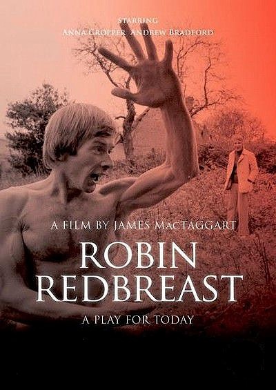 Робин - алая зарянка / Robin Redbreast (1970) DVDRip