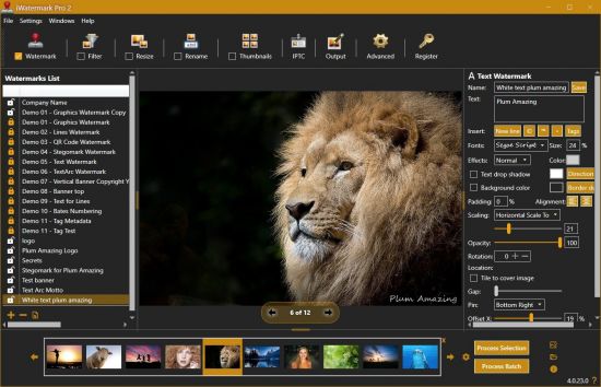 iWatermark Pro 2 v4.0.33 (x64) Portable