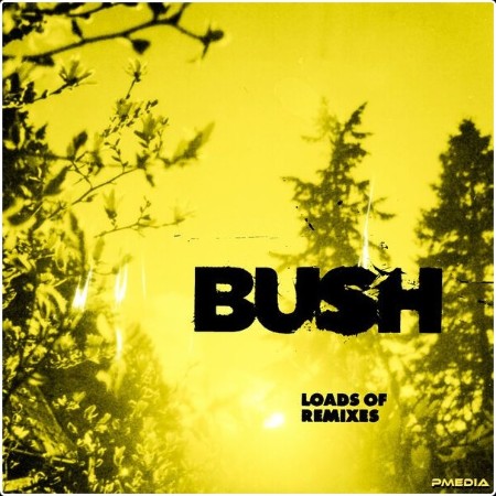 Bush - Swallowed (GLU Remix) (2024) [24Bit-48kHz] FLAC  59e923aedb50f1b2a971cb13f9e87344