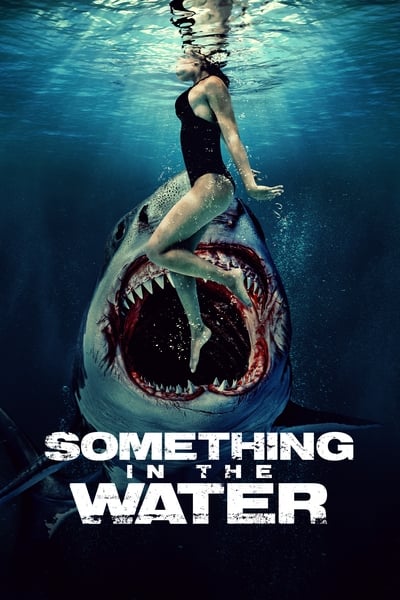 Something in the Water 2024 German DL MD 1080p WEB H264-MTZ