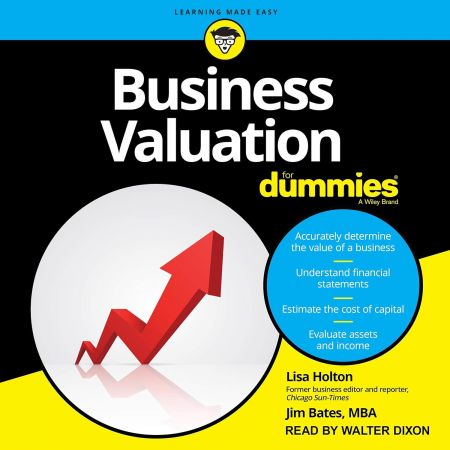 Business Valuation for Dummies (Audiobook)