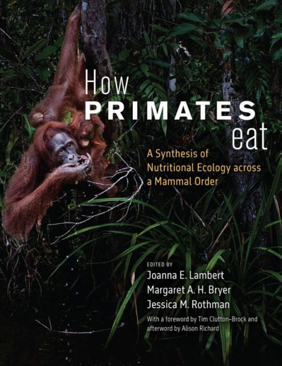 How Primates Eat: A Synthesis of Nutritional Ecology across a Mammal Order - Joann...