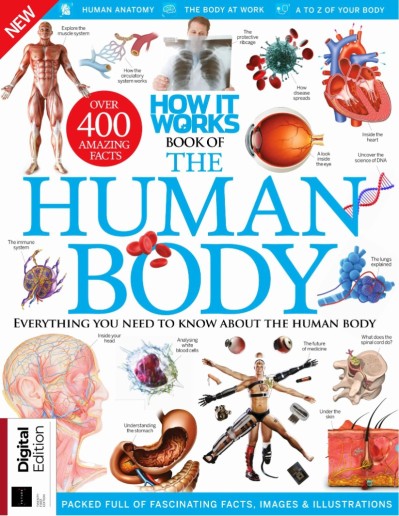 Human Body Learning Lab: Take an Inside Tour of How Your Anatomy Works - Betty Cho... 42fa1fe1caee0f2456455748e96be469