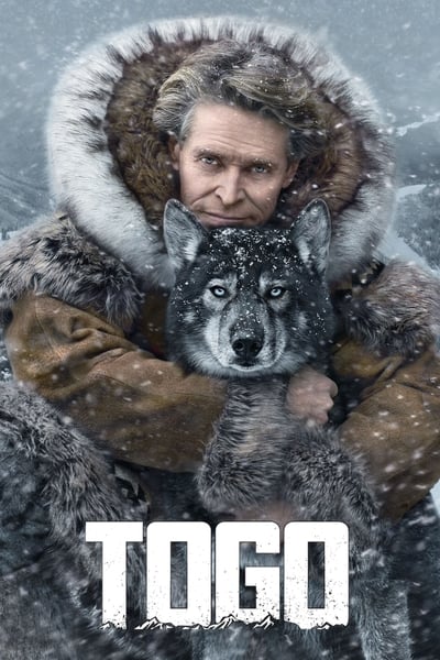 Togo (2019) 1080p WEBRip DDP5 1 x265 10bit-GalaxyRG265