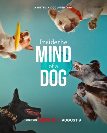 Inside The Mind of a Dog (2024) 720p WEBRip x264-GalaxyRG