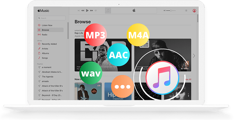 Pazu Apple Music Converter 1.8.1 Multilingual