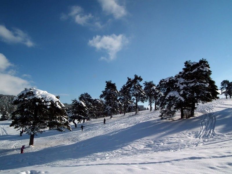 Zlatibor - Page 6 45a84abf70c32217e88eb8a4160d1b20