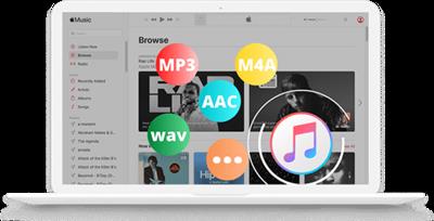 Pazu Apple Music Converter 1.8.1  Multilingual