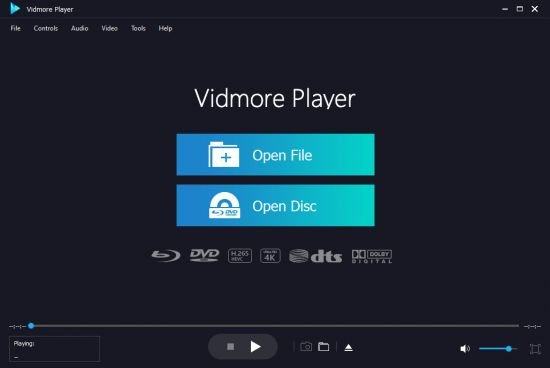 Vidmore Player 1.1.62 Multilingual