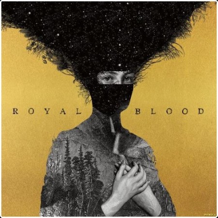 Royal Blood - Royal Blood (10th Anniversary Edition) (2024) [16Bit-44 1kHz] FLAC  050206b3f836fd0baf3992251bfd0e5b