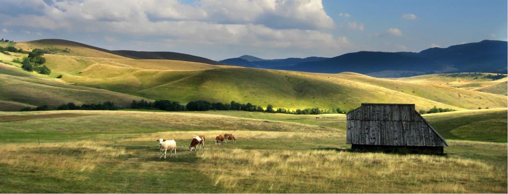 Zlatibor - Page 6 F42907f04db35b4ba900832b94098d66