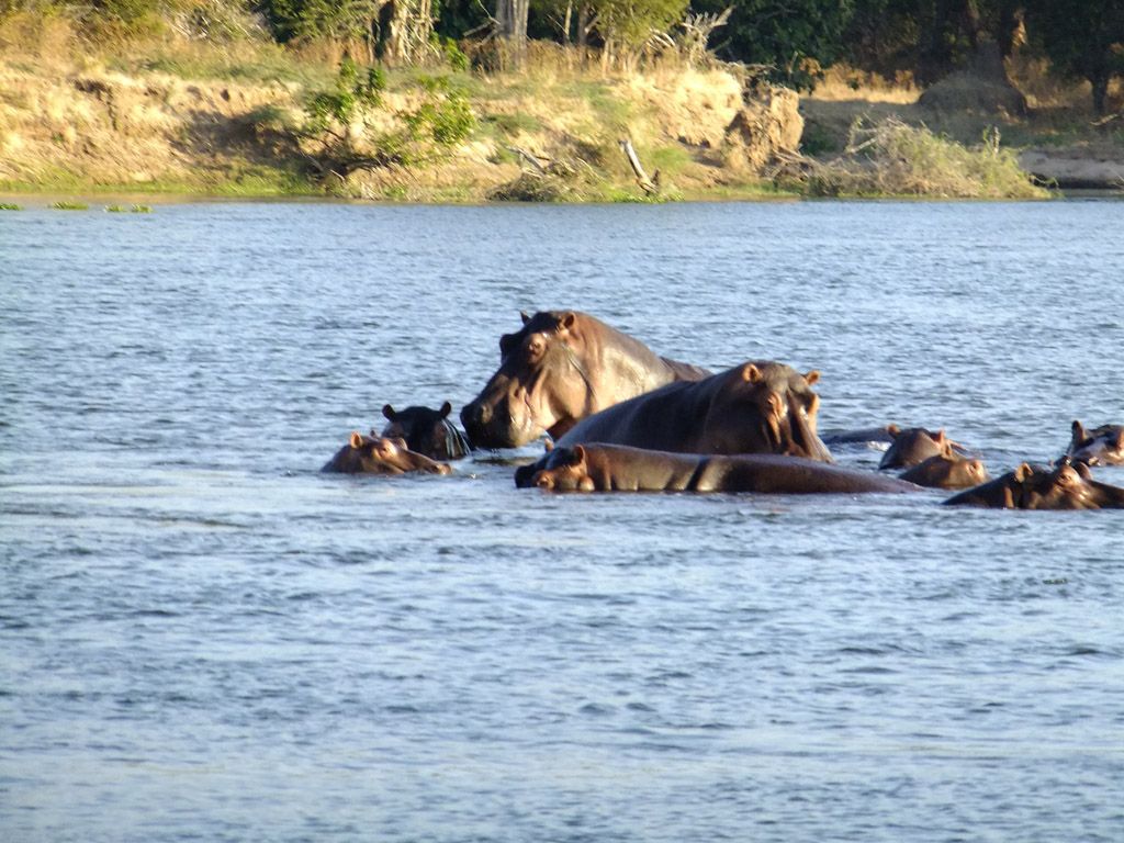 Zimbabwe - Page 10 Eb98b8e364412ee6f6bba5f50d58317a