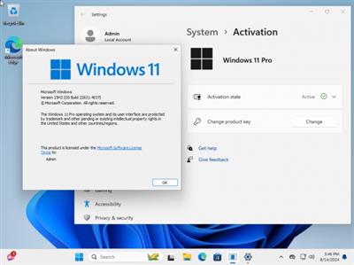 Windows 11 Pro 23H2 Build 22631.4037 (No TPM Required) Preactivated Multilingual August  2024