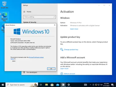 Windows 10 Pro 22H2 build 19045.4780 Preactivated Multilingual August 2024 (x64)  3eec8a03328b75a67a7f10c9b45d5127