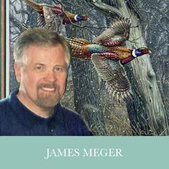 James Meger - Page 2 C49a2ab4faca9780533c09ef7338ef4e