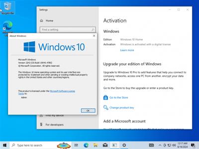 Windows 10 22H2 build 19045.4780 AIO 16in1 Preactivated August  2024