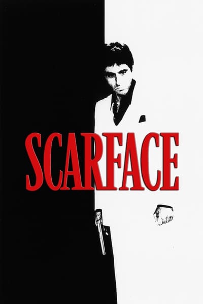 Scarface (1983) 480p DVDR-PANAM