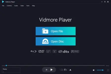 Vidmore Player 1.1.62 Multilingual