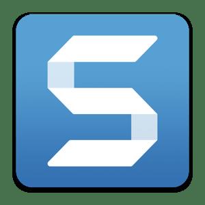 TechSmith Snagit 2024.3.1  macOS 2e1e08da79d13a4f47acff58a507d5f1