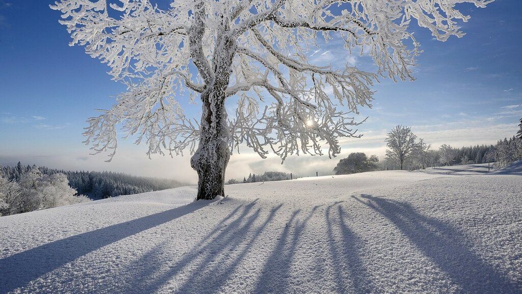 Zimski pejzaži-Winter landscapes - Page 23 033d1ccccf6228b7373afe2116b3dc58