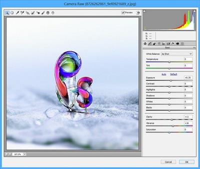 Adobe Camera Raw 16.5  (x64)