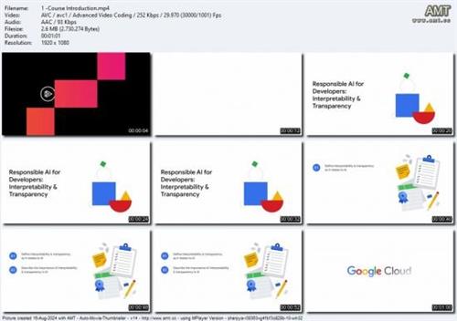 Responsible AI for  Developers: Interpretability & Transparency D8f216a452ad662e901bd75ffa192fc0