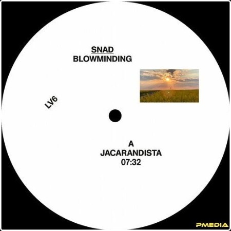 Snad - Blowminding (2024) Mp3 320kbps  Cb99036e4a016bcde3e13be0646aa545