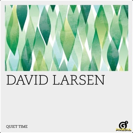 David Larsen - Quiet Time (2024) [24Bit-96kHz] FLAC  F3579577b54a31ca5c8bfb2e69e40663