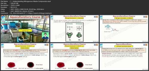 Mastering Nitrogen Constraint Management In  Ras F9091ede3852bb2aa72a3d7650a22b6a