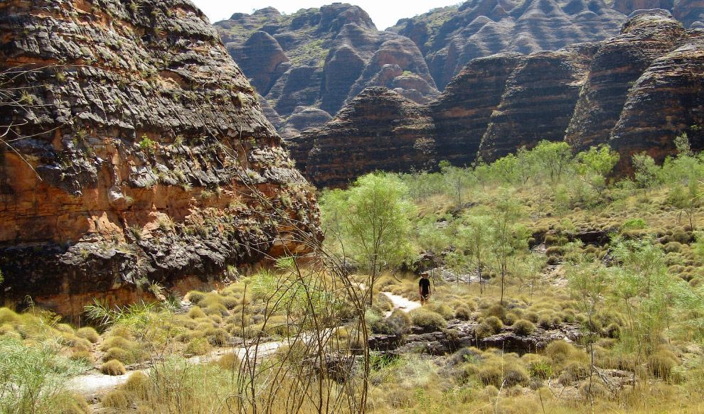 Nacionalni park Purnululu, Zapadna Australija - Page 2 9e3b4fd0e0f7f3074738e5692ac07144